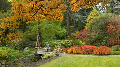 A man stands on a bridge in the distance surrounded by trees and bushes clothed in autumn colours
